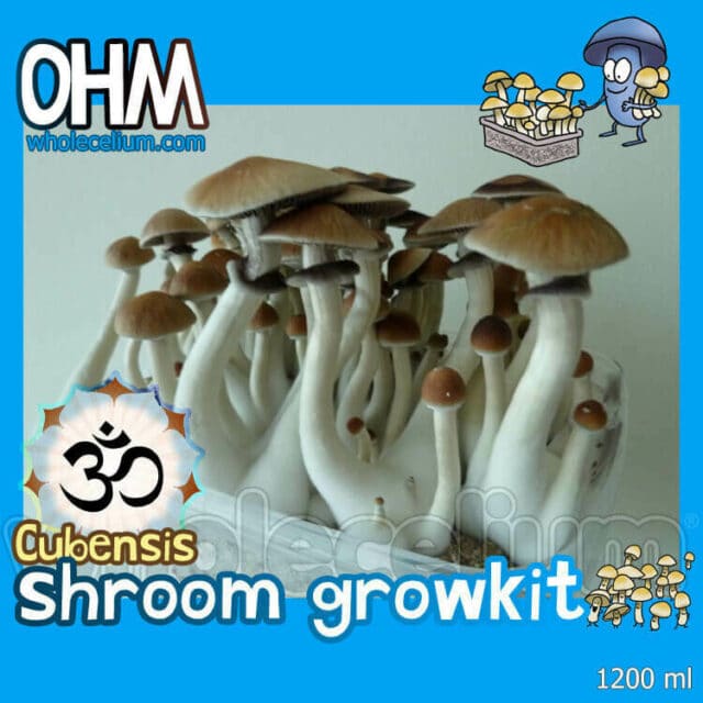 Buy magic mushroom grow kits online | Wholecelium