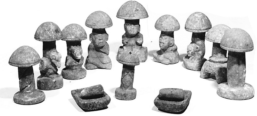 9 stone mushroom deities