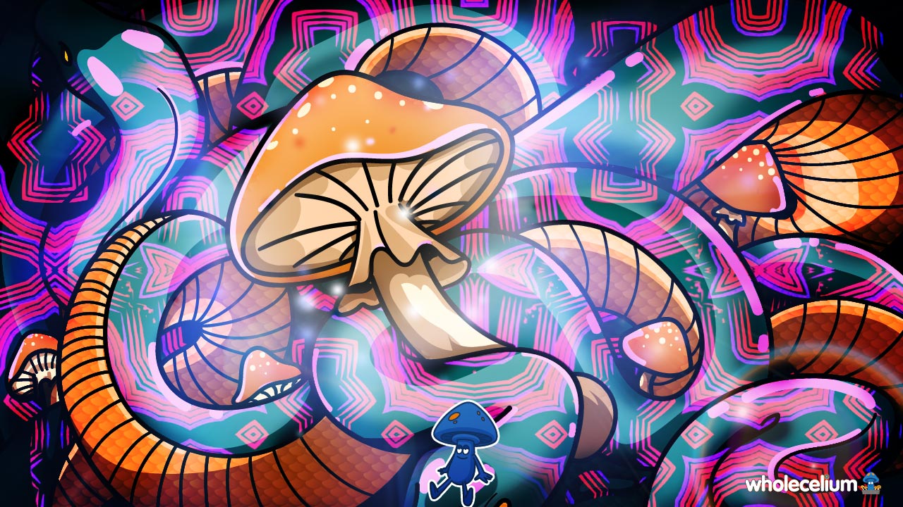 Psychedelics and Snakes: Forever Intertwined? - World Snake Day